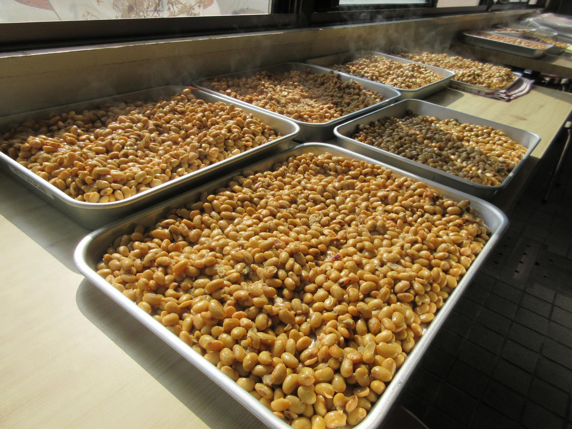 煮えた大豆を冷ますようす