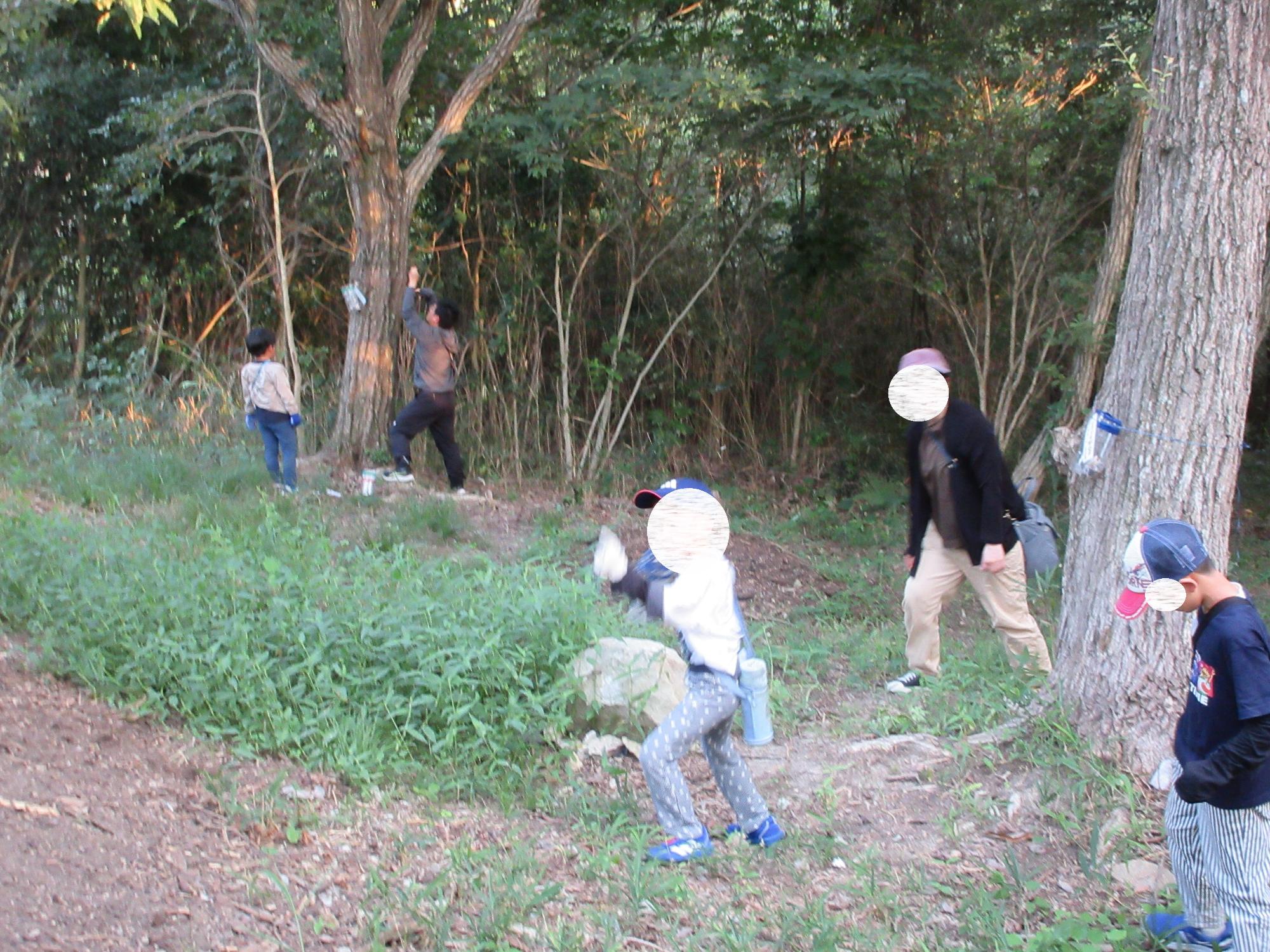 日岡山公園にトラップをしかける様子