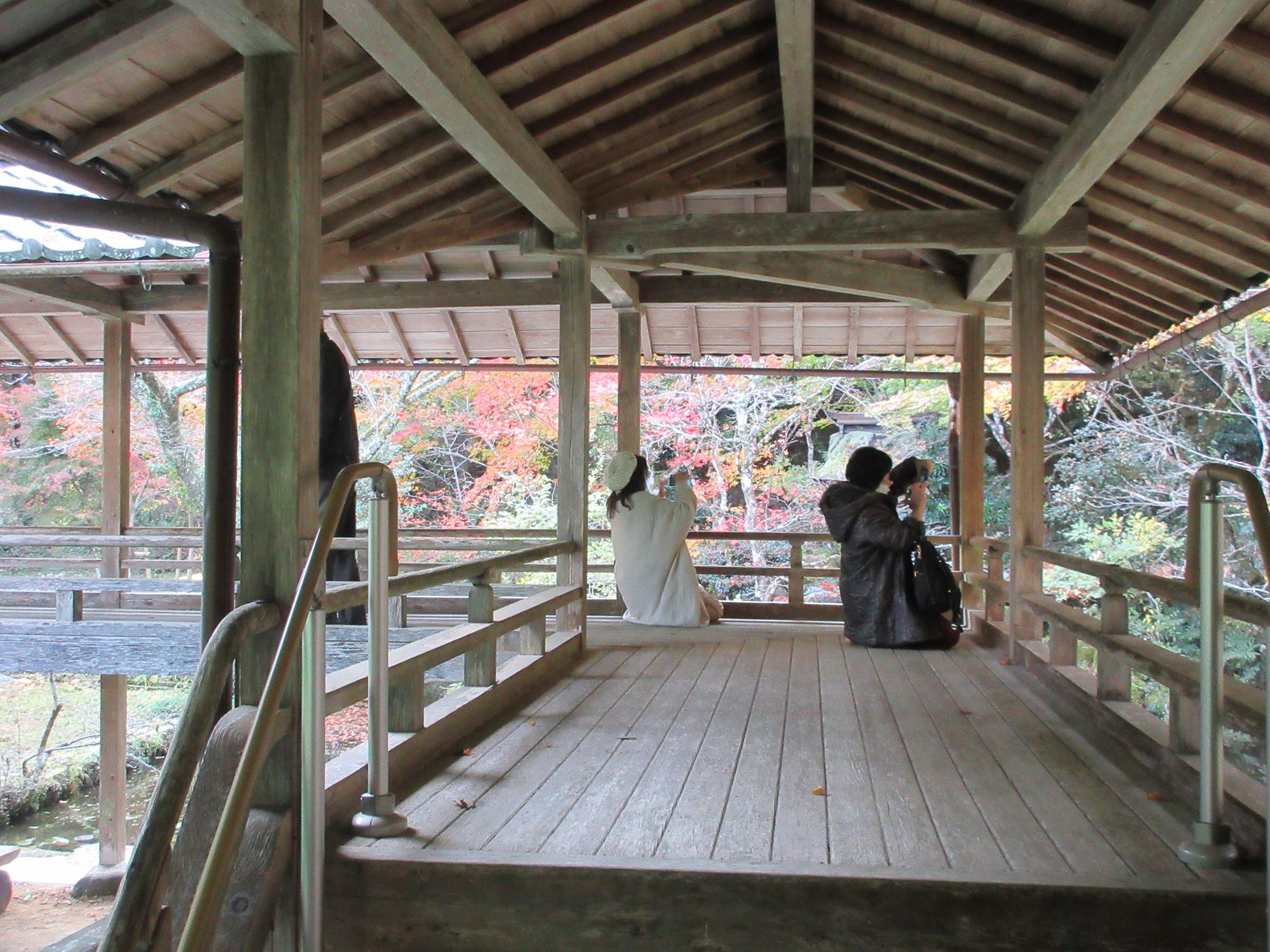 紅葉した庭園を撮影する学生たち