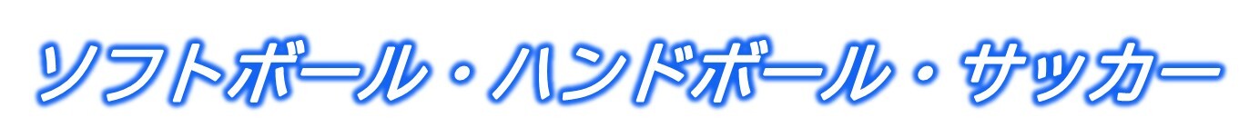 種目名3