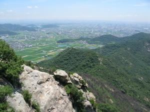 林野火災から数年がたち黒く焦げていた山肌が緑を取り戻している写真