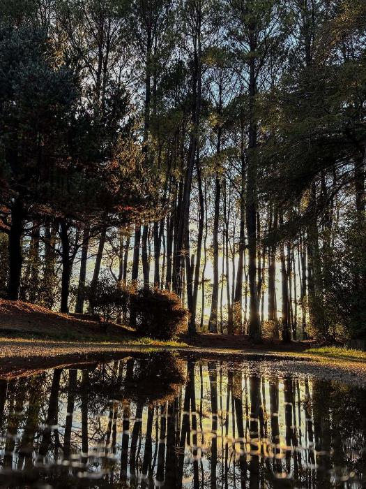日岡山公園のリフレクション