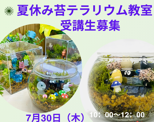 苔テラリウム1