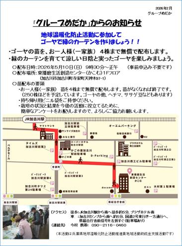 グループめだか(20260510)